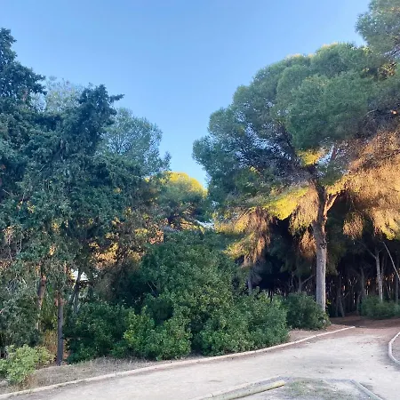 Apartment Hermosa Glea Campoamor