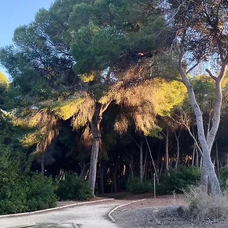 Hermosa Glea Campoamor